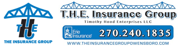 T.H.E. Insurance Group dual logo